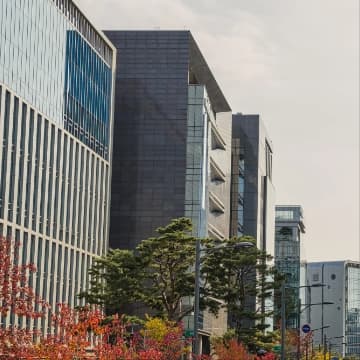 의료보험사기 - 무죄