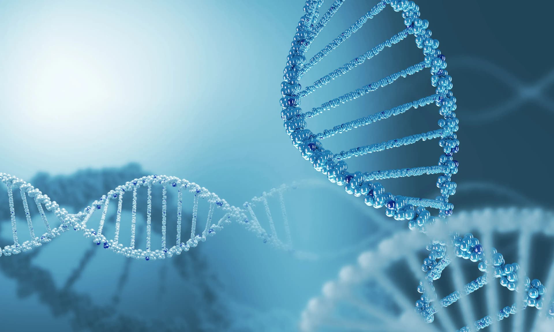 의료전문변호사 에버그리닝 개념 법률 정보