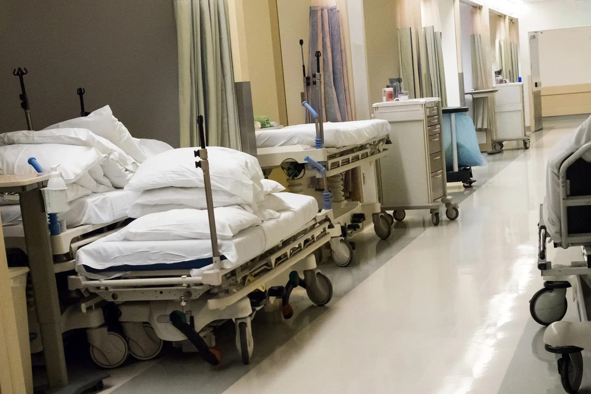 응급의료법 처벌 수위 업무 분야